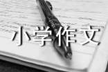 豐富的課余生活作文400字_四年級作文_小學作文