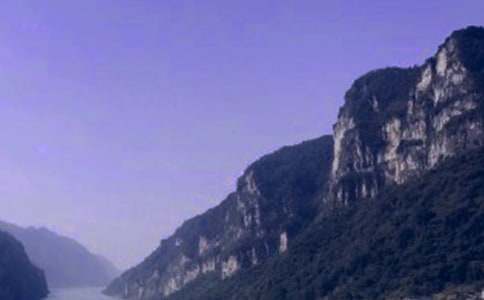 ���{����