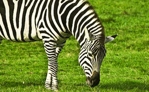 �Y׌���R��С�W����