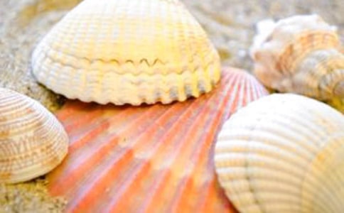 ���õ�ؐ������[�\��9ƪ]