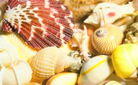 [����]ؐ������300��