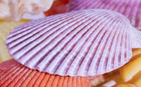 癩蛤蟆與貝殼作文