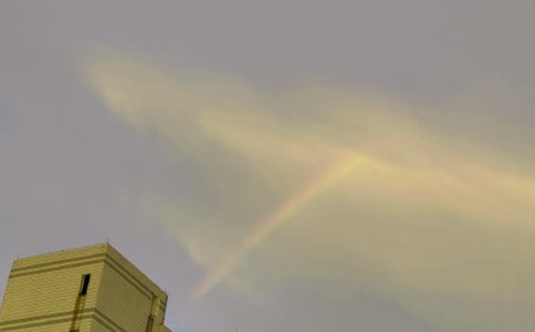 ���еĲʺ����ĳ��á�15ƪ��