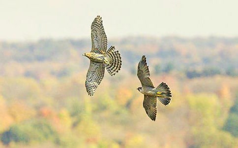 �n������600����ƪ