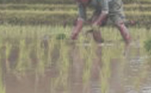 ��������600�֣����x31ƪ��