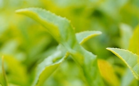 ���~Ҳ����֧������3ƪ[�ϼ�]