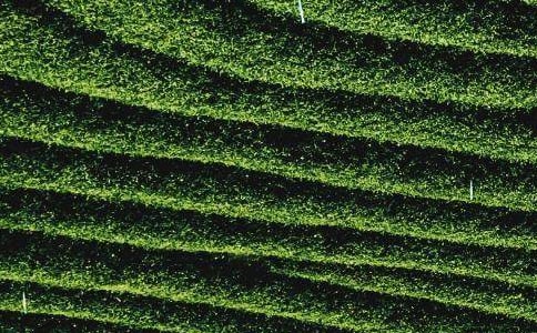 ���~�I�u��ͬ(�ϼ�15ƪ)