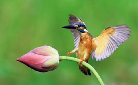 ���꼉�ԡ����B��ԭ��