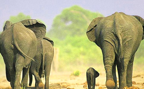 ���L(f��ng)�Ĵ���Ԣ�Թ���