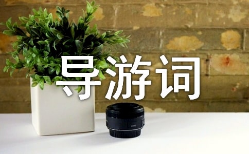 ��B���`��ʯ�ߵČ����~