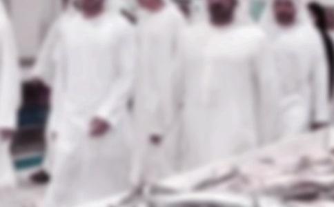 小學四年級寫景作文600字:走在迪拜的街頭風光