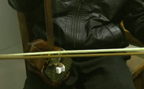 二胡演奏者-寫人作文900字