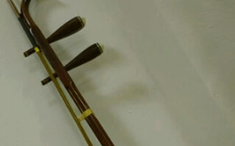 我記憶深處的二胡作文