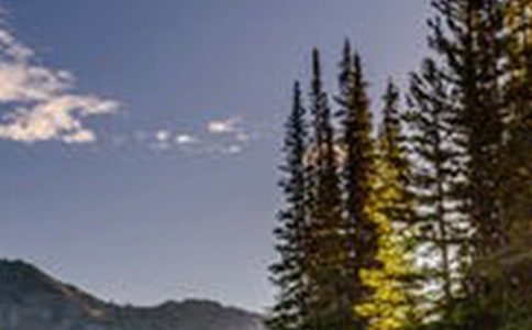 �P(gu��n)���L(f��ng)���ă�(y��u)���İ������x190�䣩