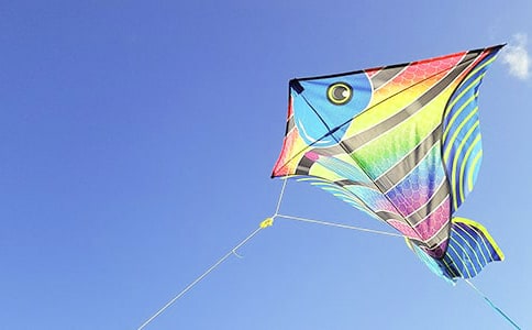 ��������L�~���x���700��