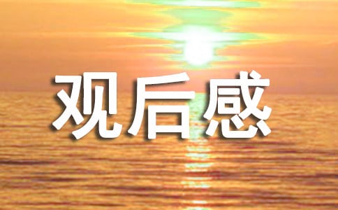2023《滿江紅》的觀后感范文600字(精選5篇)