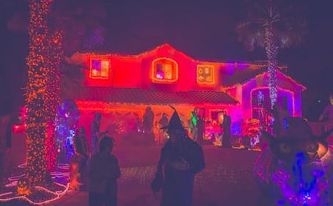 ��������800��