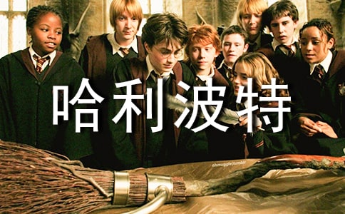 �������،W���x������