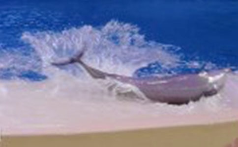 �Һͺ����H�ܽ��|����