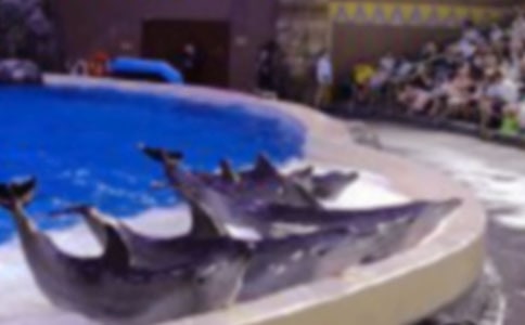 �������������