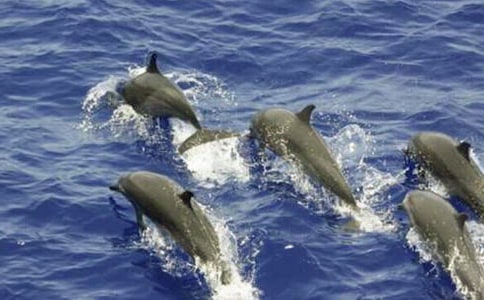 �Զ�������x���{ɫ�ĺ����u���и�800��