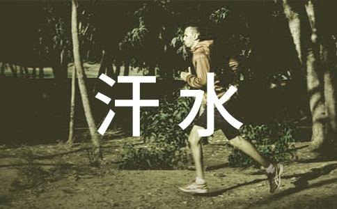 爸爸的汗水作文4篇