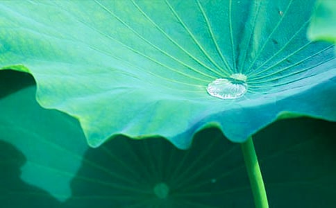 �����ҡ��ɺ��~���ס�ԭ�ķ��g���p��