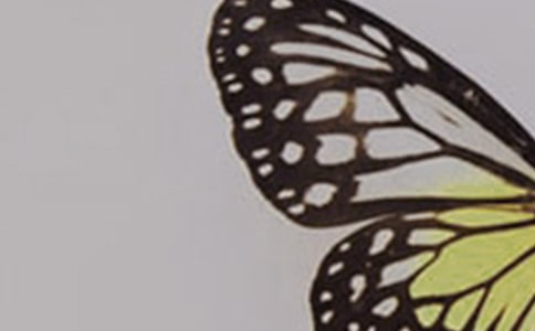 �а���½̰���ֻ����