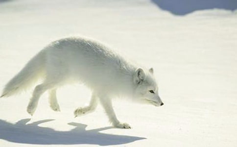 ��؂�͞��f�̌W�OӋ