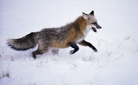 ���ٱ���؂�_һ�Ρ��и�����