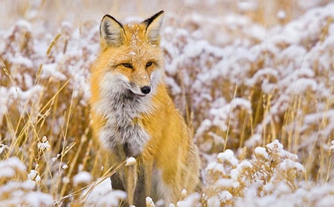 ��؂�͞��f����Ĺ���