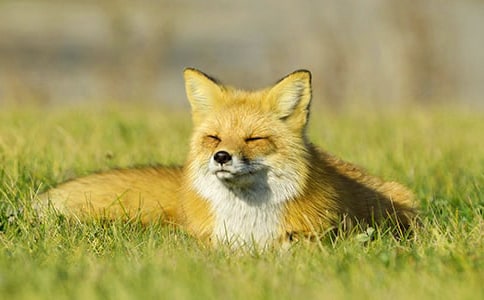 �а��Z�ԡ����Ӻͺ�؂��