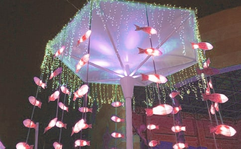 �p�������ąR����14ƪ��