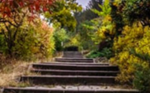 �|�C���@С�W�ڏV�ݵ�����