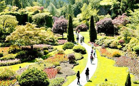 �����á����Ļ��@����20ƪ