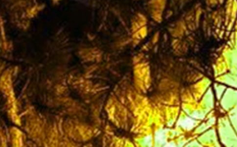 �_չ2022���������ķ��ط������\