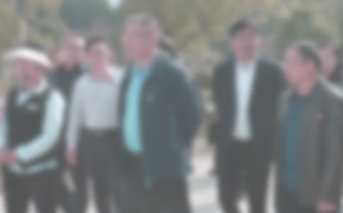 初中生違紀檢討書15篇