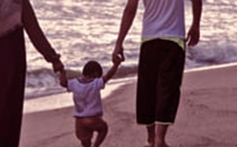 ��ݔ�ڼ�ͥ�������ĵ��w�������x8ƪ��