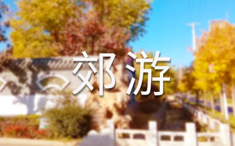 戶外郊游活動方案