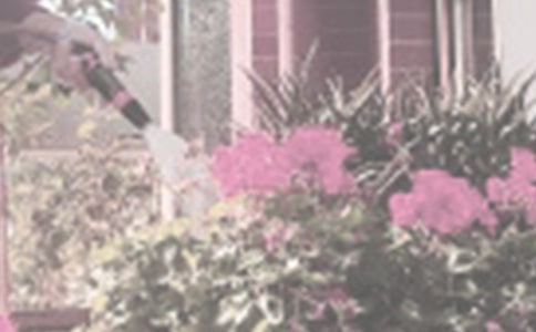 《達爾文澆花》的教學(xué)設(shè)計