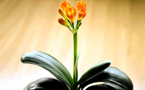 ��ͨ�á������m����15ƪ