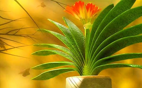 �����m���ļ��\��15ƪ��