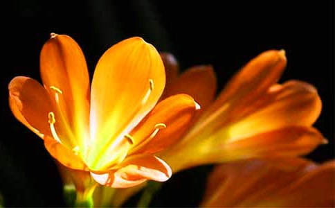 �����]�������m����15ƪ