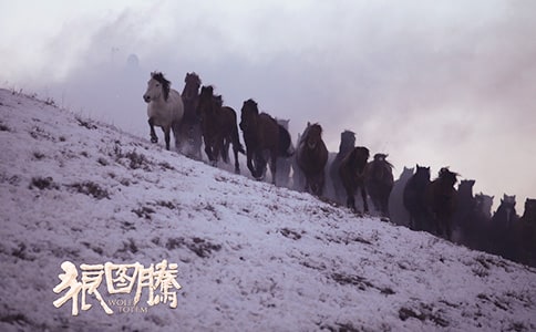 ���ǈD�v���x���Pӛ�����x24ƪ��