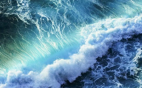 《浪花》教案(通用10篇)