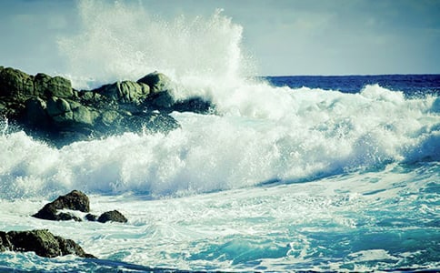 最新《浪花》的教案