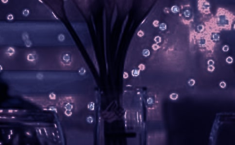 �������L����