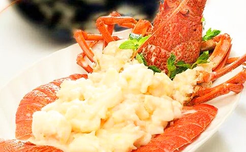 烏龜和大龍蝦作文范文