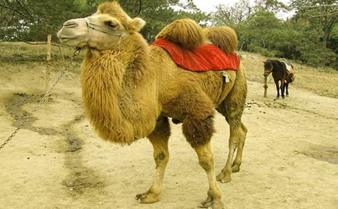 ����x��������