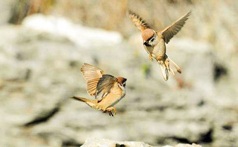 �P����ȸ����